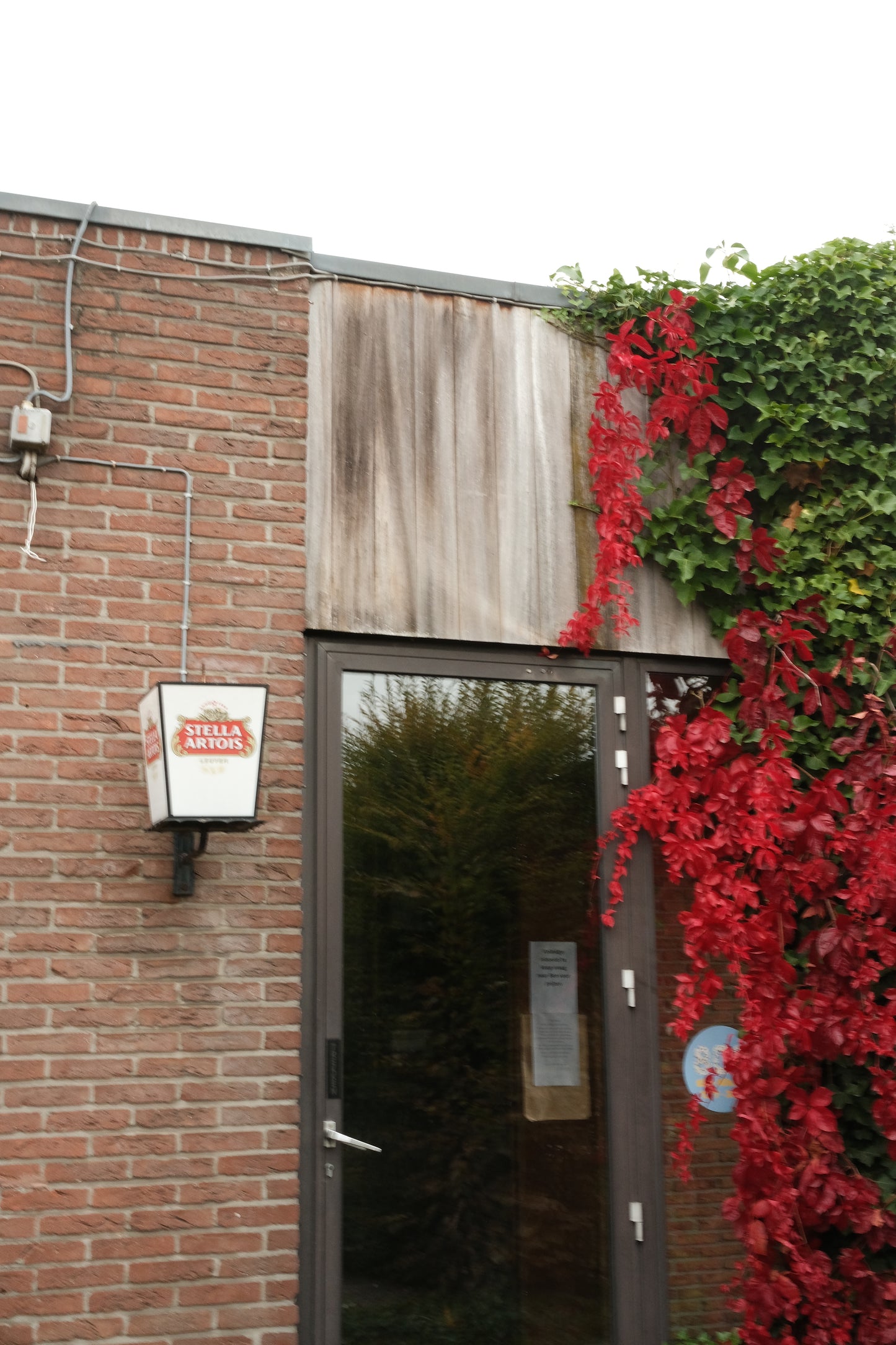 Padouk Gevelbekleding