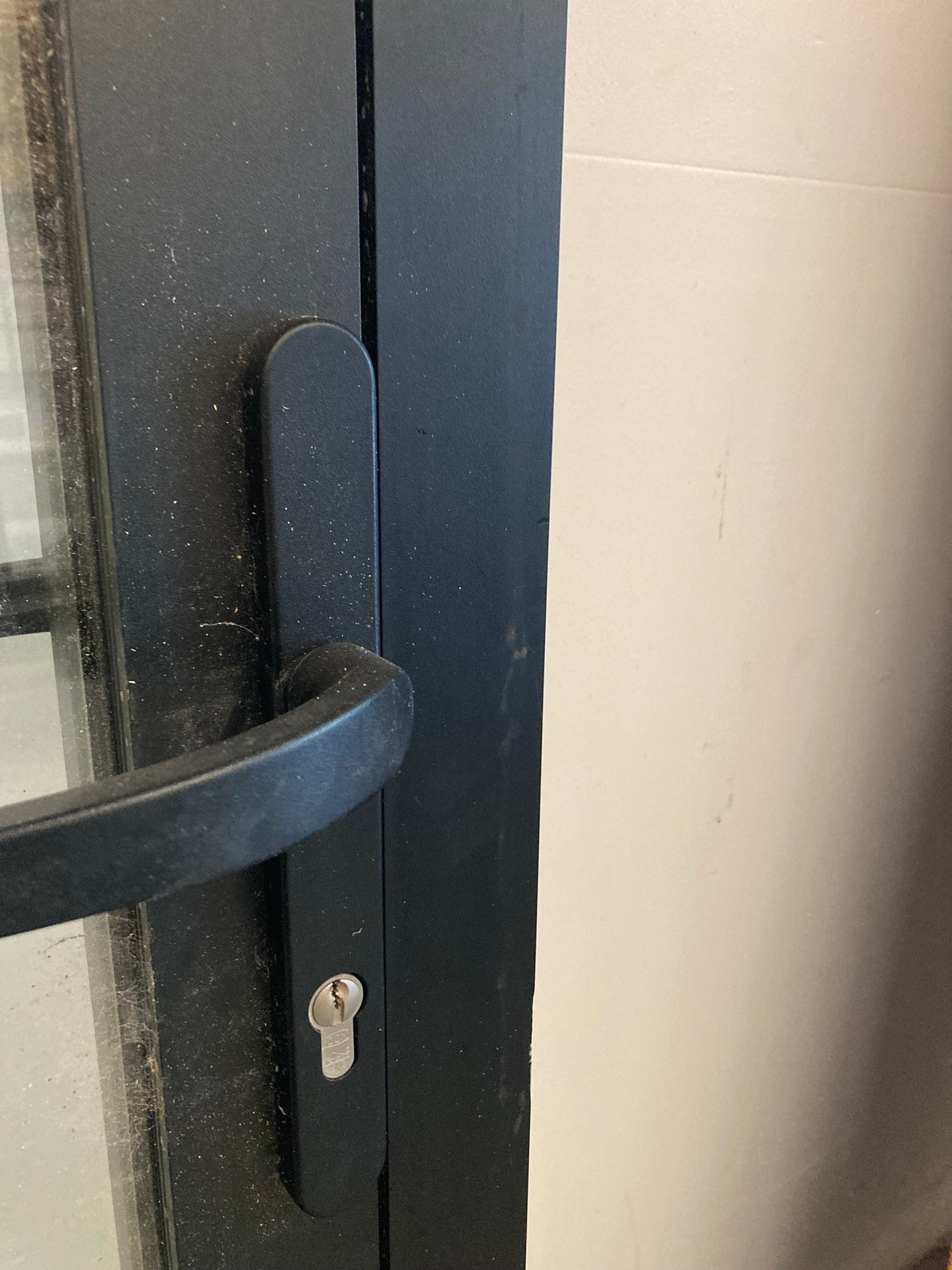 Buitendeur met glas - ALU - Zwart - met vliegenraam
